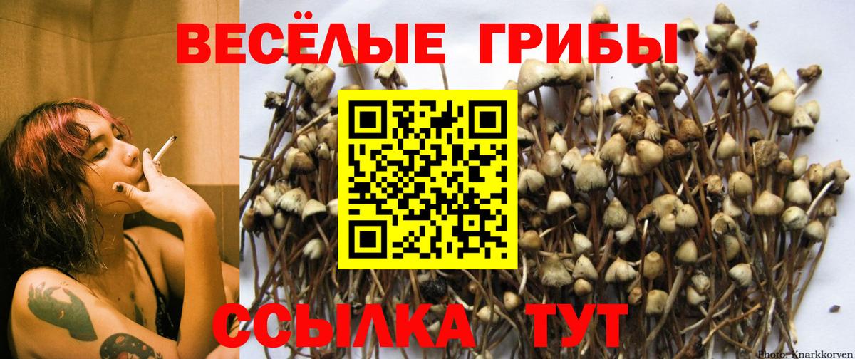 Псилоцибиновые грибы MAGIC MUSHROOMS Оренбург