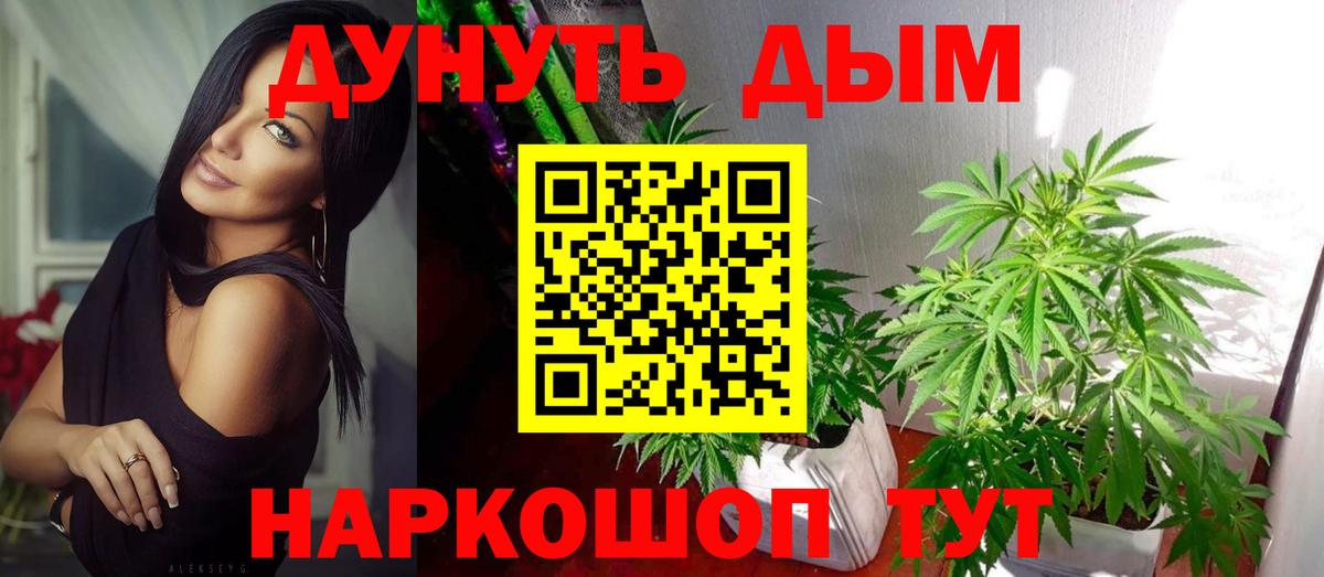 Шишки марихуана план  Марихуана марихуана  Канабис план  Оренбург  Вход с VPN 